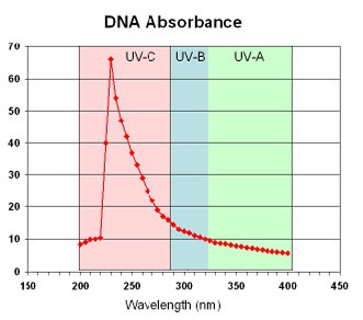 dna absorbance spectrum