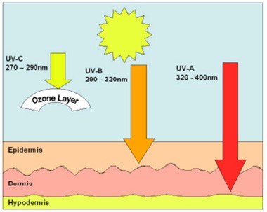 Uv light store without ozone